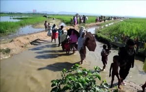 Rohingya_refugees_entering_Bangladesh_after_being_driven_out_of_Myanmar,_2017